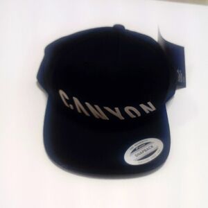 Canyon snapback hat NWT's